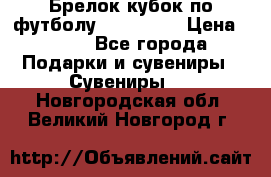 Брелок кубок по футболу Fifa 2018 › Цена ­ 399 - Все города Подарки и сувениры » Сувениры   . Новгородская обл.,Великий Новгород г.